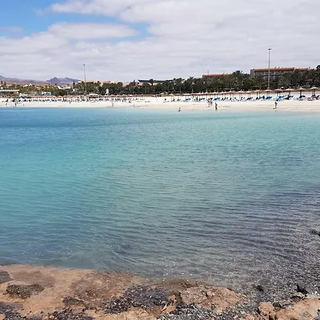 Apartment Bahia Sol 144 *